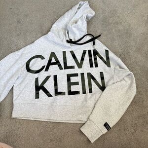 Calvin Klein Light Gray Performance Hoodie